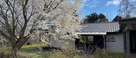 Udendørsområde