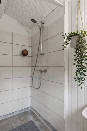 Een douche met een handdouche, een wandmengkraan en een bloempot.
