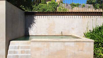 Stunning water feature surrounded by lush greenery and accessible steps.