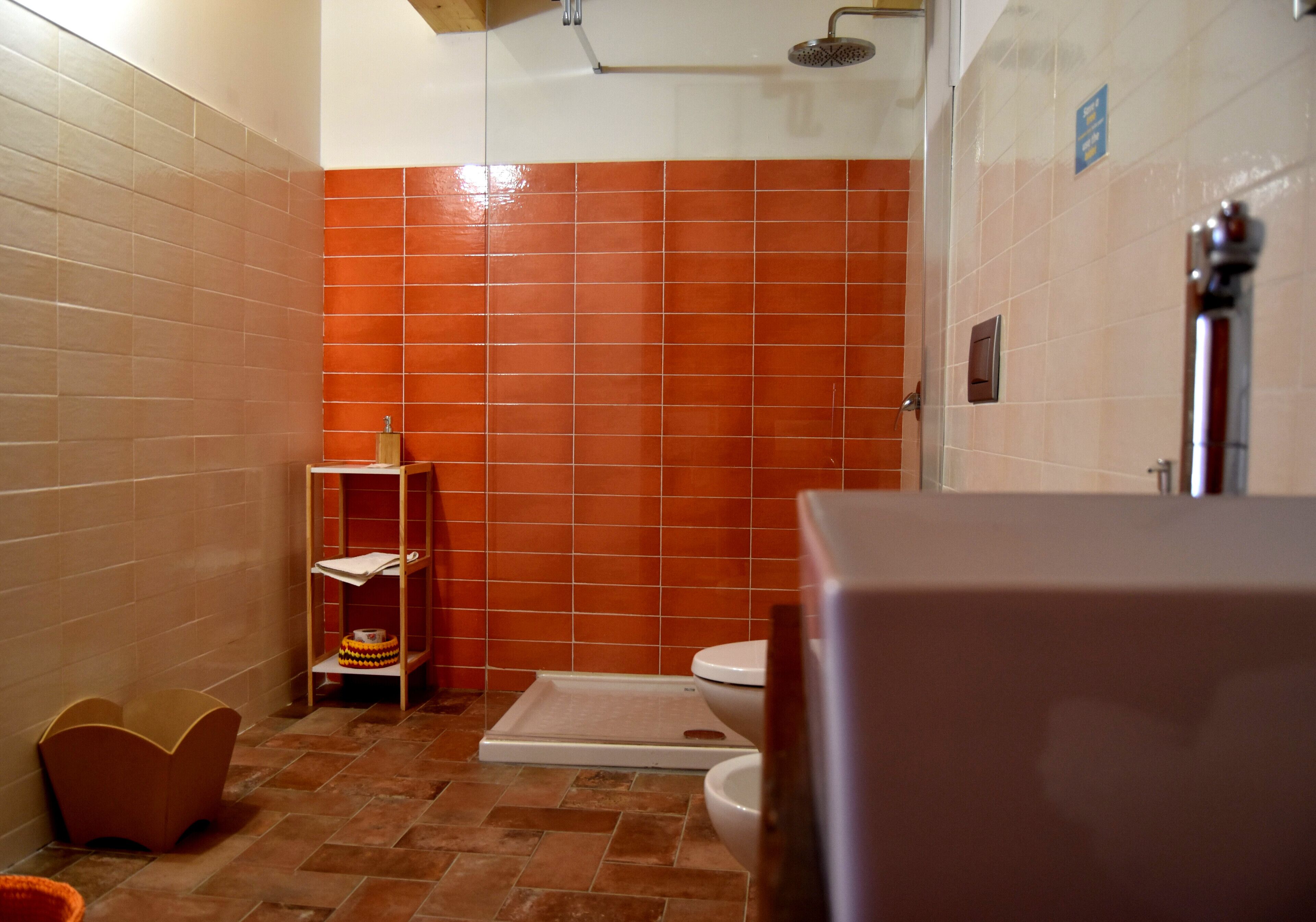 A bathroom with a shower, toilet, and a small shelf with toiletries.