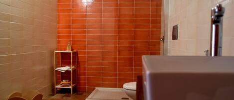 A bathroom with a shower, toilet, and a small shelf with toiletries.