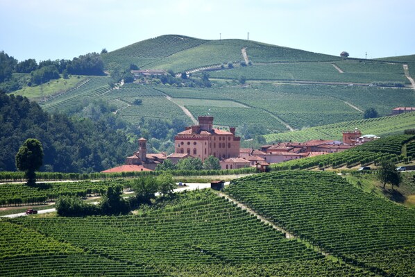 Viñedo con campos en terrazas y un edificio histórico de techo rojo.