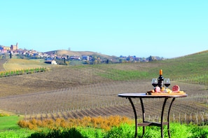 Uitzicht op de wijngaarden