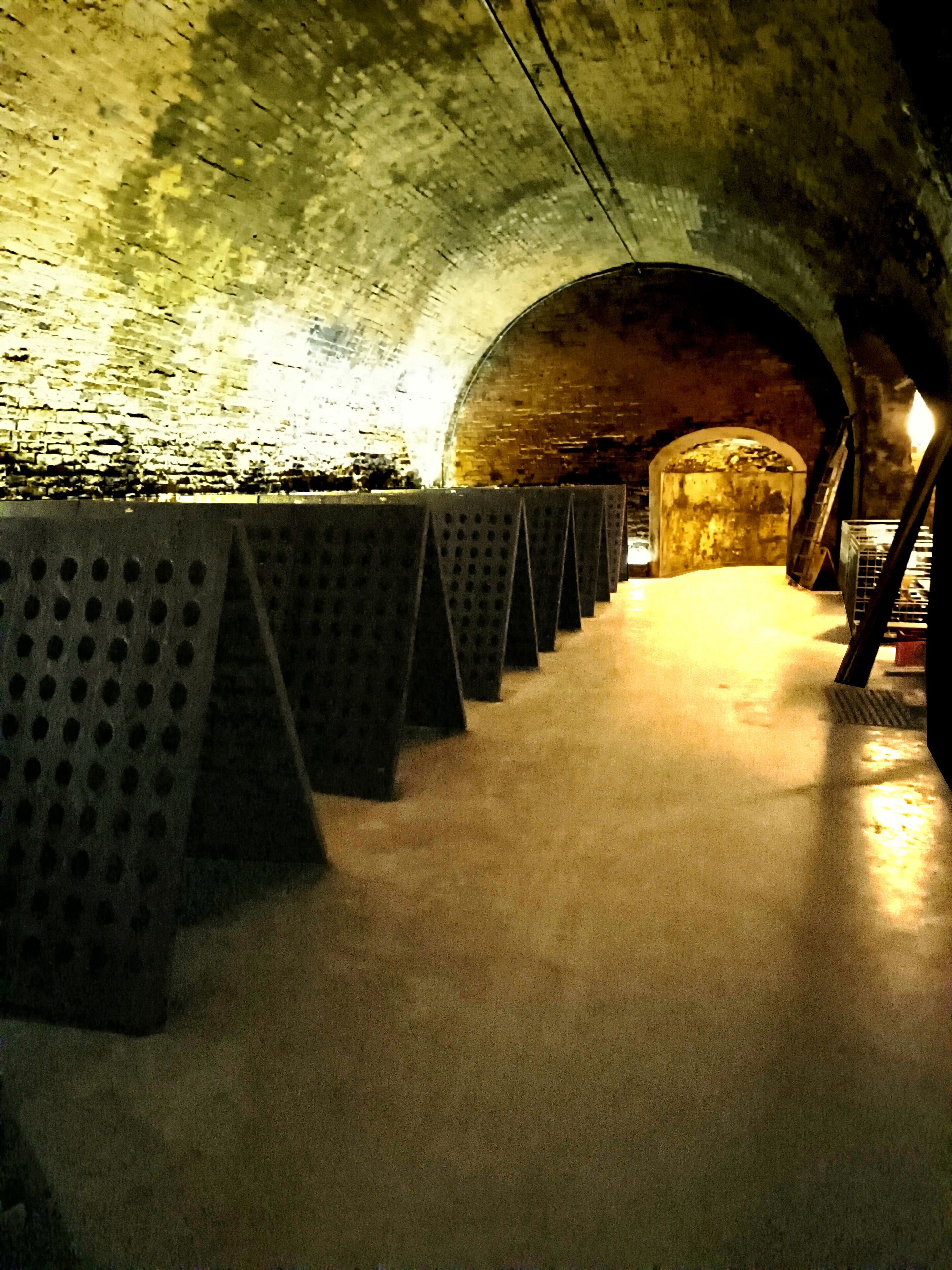 A tunnel with a concrete floor and walls, featuring a series of metal barriers along the sides.