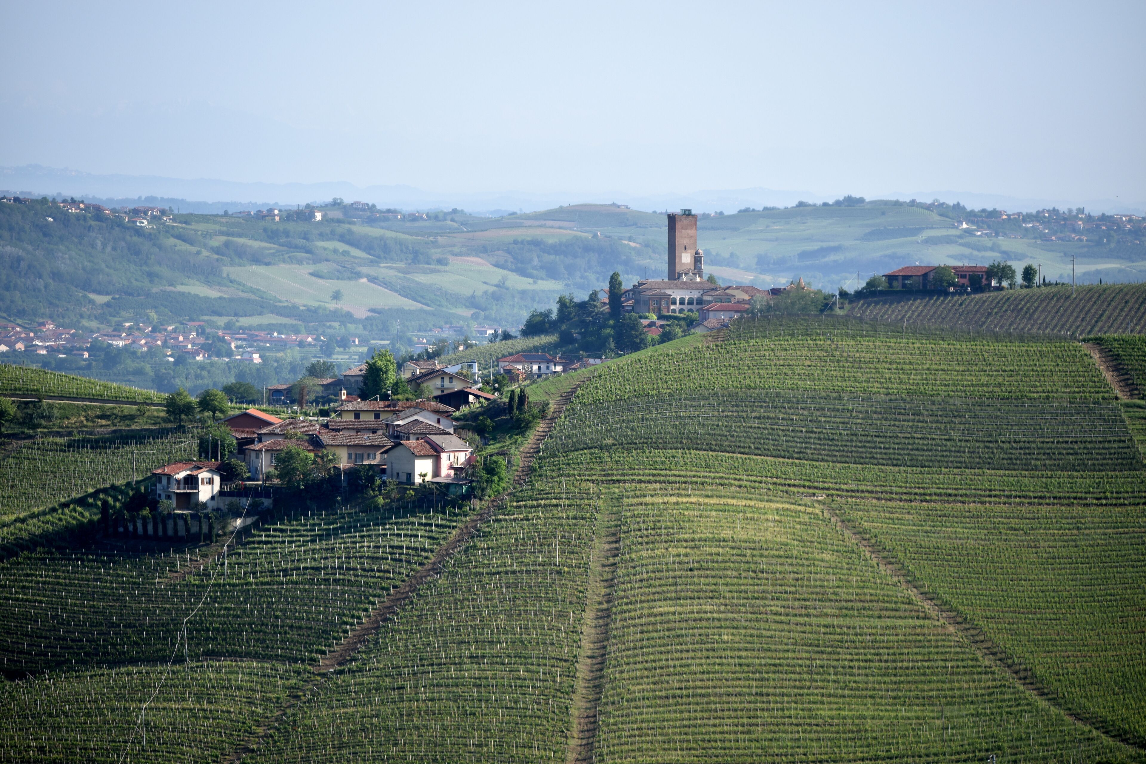Ein Weinberg mit terrassenförmigen Feldern und einem historischen Turm.