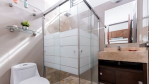 A modern bathroom with a glass shower enclosure, a white toilet, a vanity with a mirror, and a small plant on a shelf.
