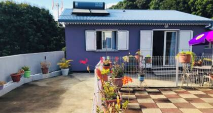 Charmante Maison Créole Situer a Proximité de L'aéroport Roland Garros