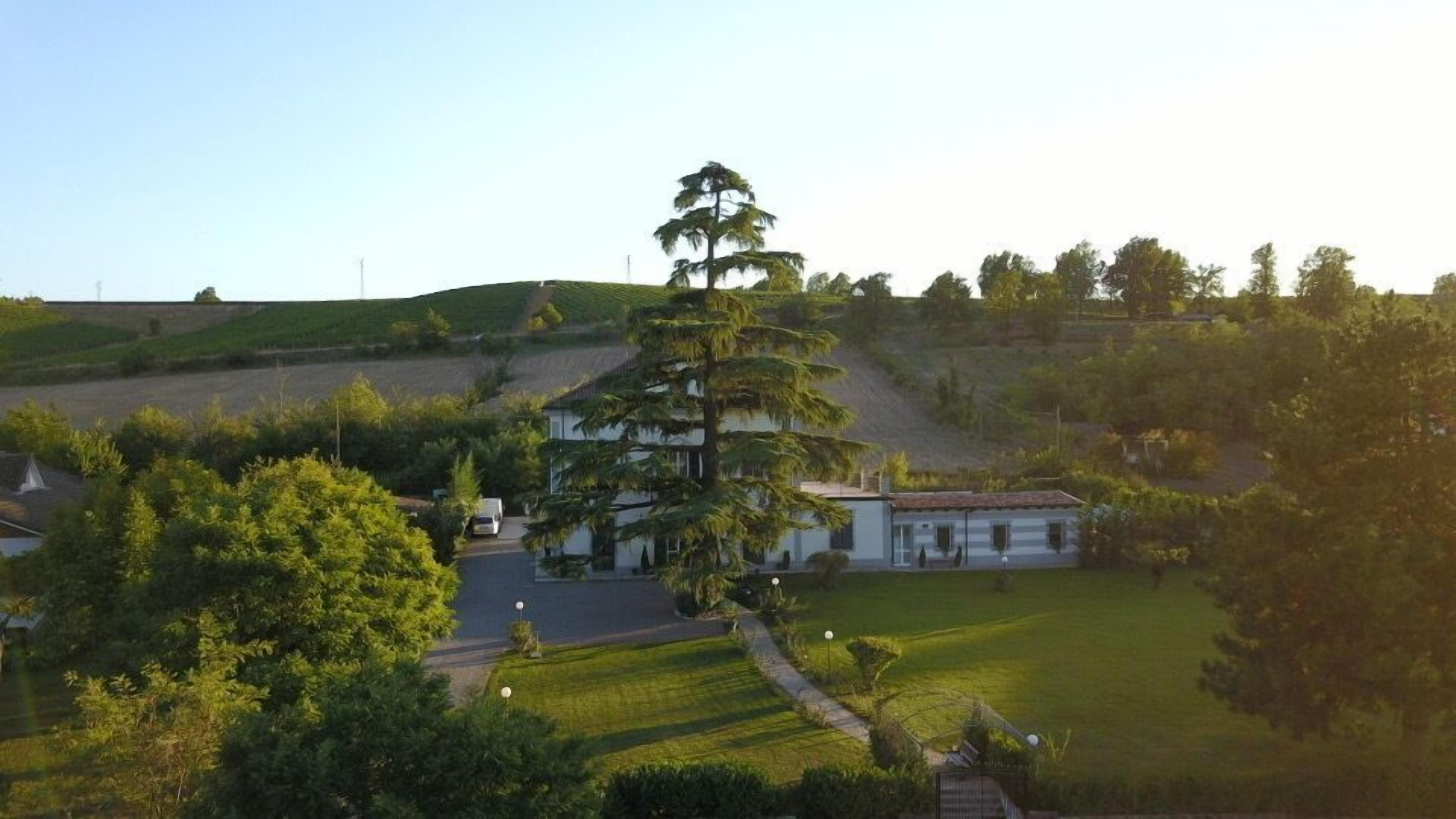 Ein Wohngebiet mit einem großen Baum, einem Haus und einem gepflegten Rasen.