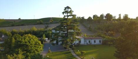 Un barrio residencial con un gran árbol, una casa y un césped bien cuidado.