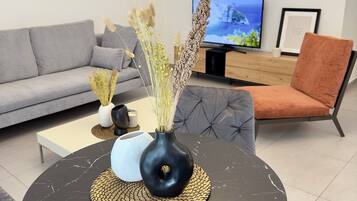 Apartment, 1 Bedroom, Accessible, Smoking | Room amenity