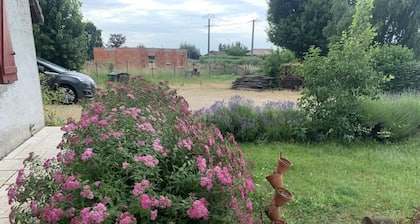 Gßte spacieux avec grand jardin, à proximité de Vichy et attractions, tout confort inclus