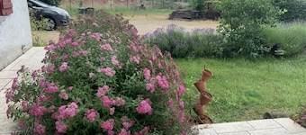 Spacious 6-Bedroom Cottage with Large Garden, Near Vichy & Le Pal, All-Inclusive Amenities