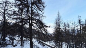 A snowy forest with a wooden bench and a wooden fence.