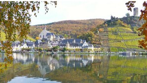 A lakeside town with historic buildings, a prominent church, and vineyard terraces. - The Studio Apartment Dornfelder Beilsteiner - Apartments MOSEL (Beilstein)