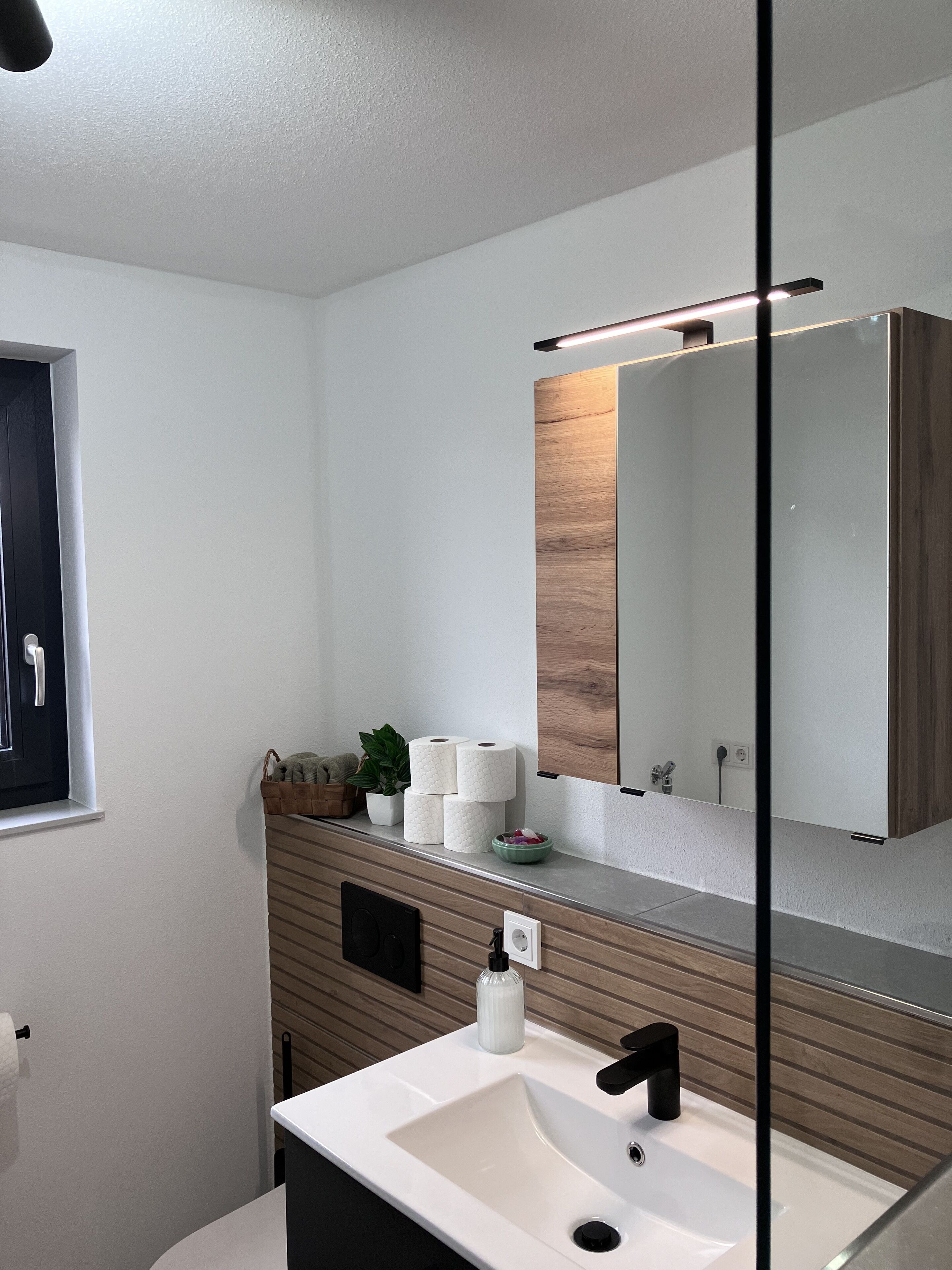 A modern bathroom with a white sink, black faucet, and a mirror above it. There are toilet paper rolls and a small plant on the counter.