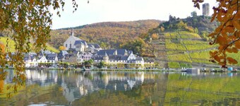 The Riesling Beilsteiner apartment - Ferienwohnungen MOSEL