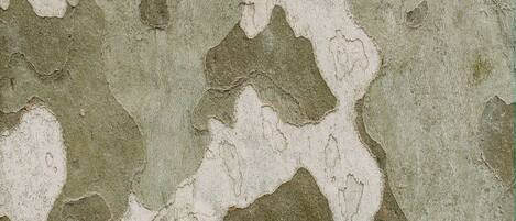Una pared con textura irregular y parches con huecos.