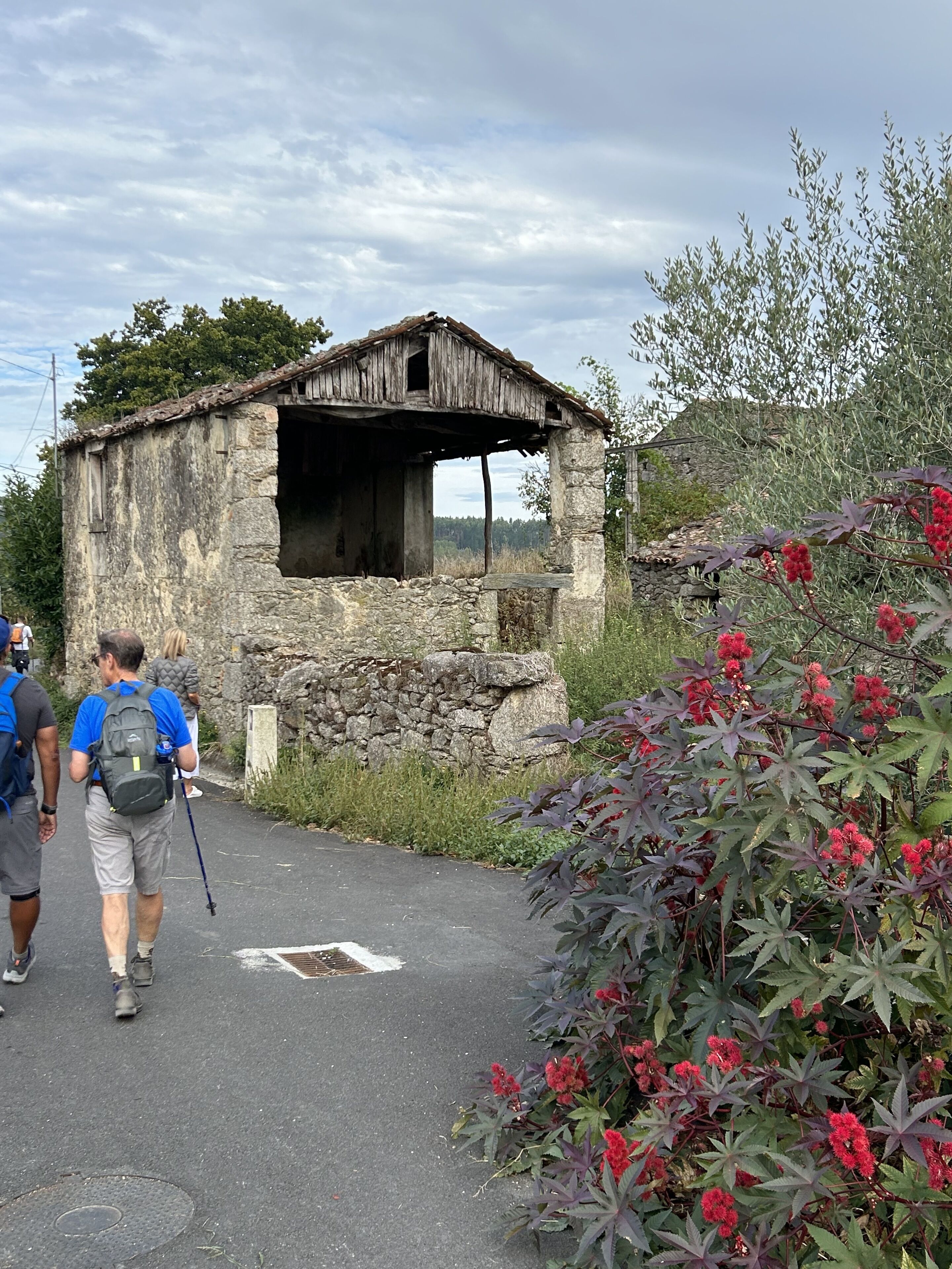 Photo - Casa Bolboreta
