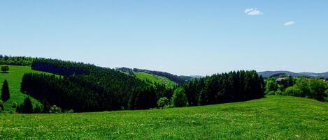 area
