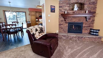 Télévision, cheminée, jeux vidéo, lecteur de DVD