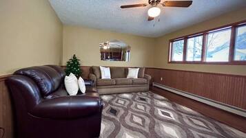 TV, fireplace, video games, DVD player