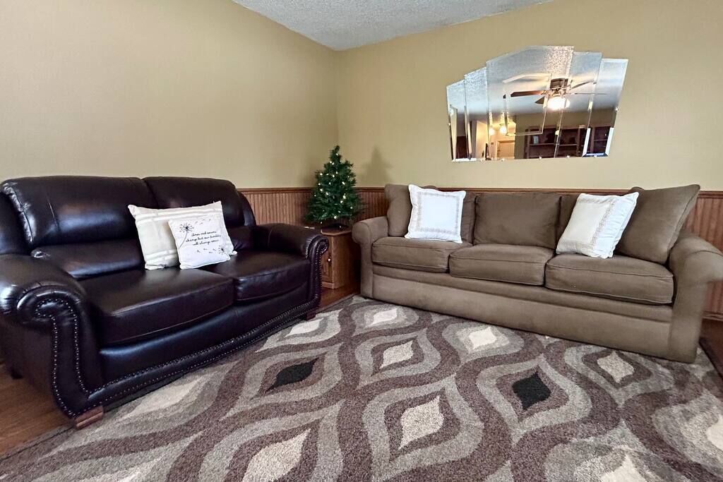 TV, fireplace, video games, DVD player