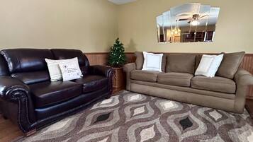 TV, fireplace, video games, DVD player