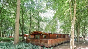 A wooden cabin with a deck, surrounded by dense forest. - Bamboo Retreat (Louth)