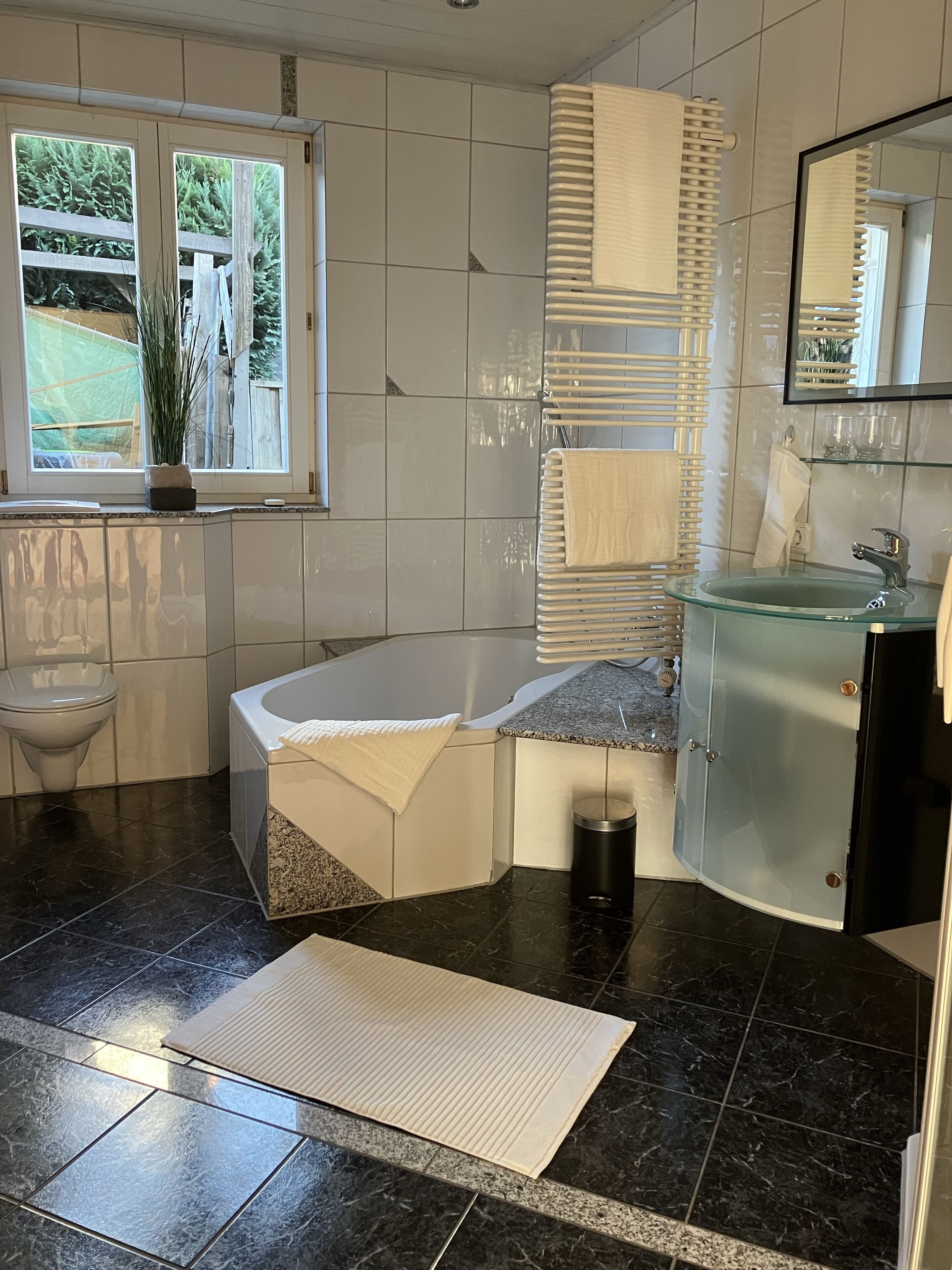 Assecador de cabells, tovalloles, sabó i paper higiènic 