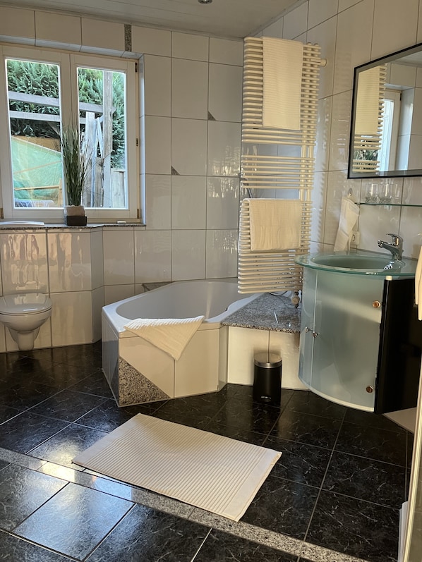 Hair dryer, towels, soap, toilet paper