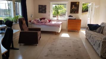 Smart TV, chimenea, reproductor de DVD y libros