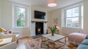TV, fireplace, offices