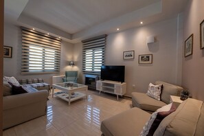 Un salon moderne comprenant un canapé, un fauteuil, une table basse, un téléviseur, une cheminée et de grandes fenêtres équipées de stores.