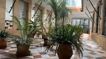 Jardines del alojamiento