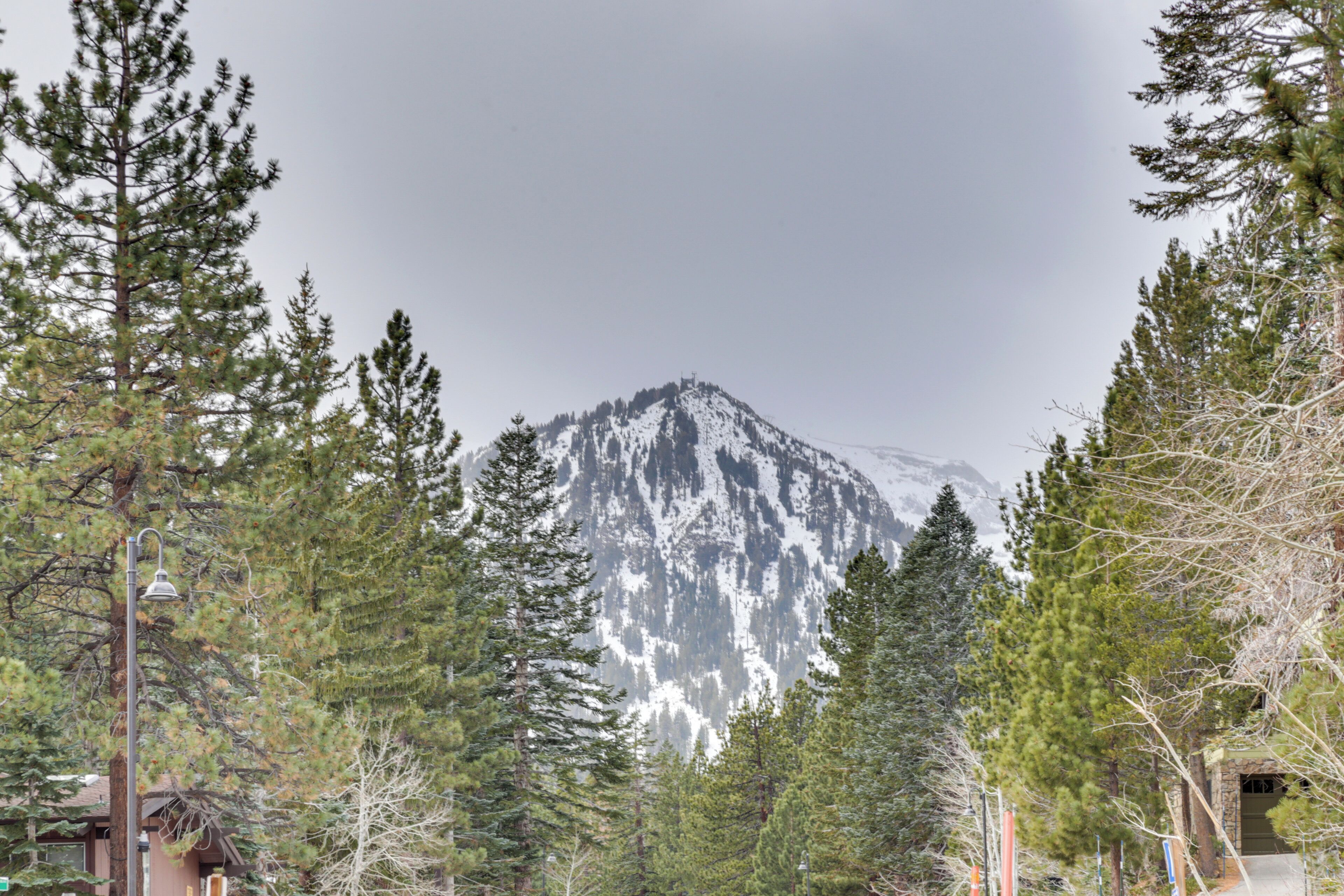 A mountain with a snow-capped peak, surrounded by evergreen trees.