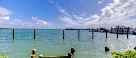 A marina with boats docked, wooden pilings in the water, and a clear sky.
