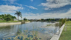 Una masa de agua tranquila con nenúfares, un sendero de concreto y una palmera.