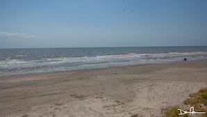A beach with a clear sky, calm sea, and a few birds flying. - Gulf & Pool view, Washer & Dryer, Families Love it (Galveston)