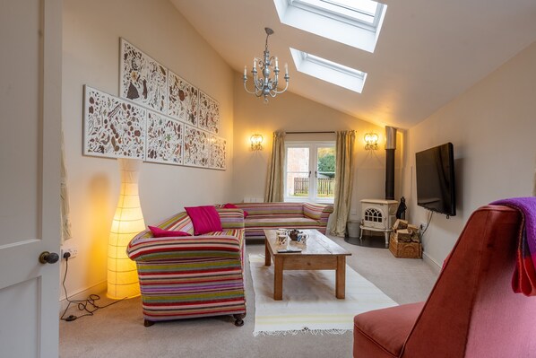 TV, fireplace, books