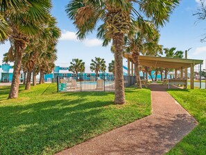 A pathway leading to a pool area with palm trees and a covered seating area. - Bayfront Kontiki 705 (Rockport)
