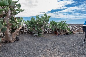 Property grounds - Cabaña Madera Junto al mar (CN)