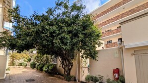 A paved courtyard with a large tree, potted plants, and a fire extinguisher on the wall. - Beachside 2BD Home in the Heart of Sea Point! (Cape Town)