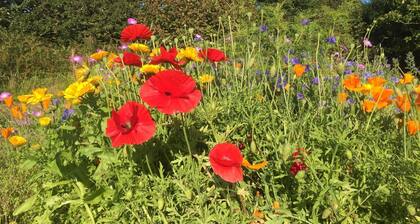The Dairy, shared hot tub and sauna