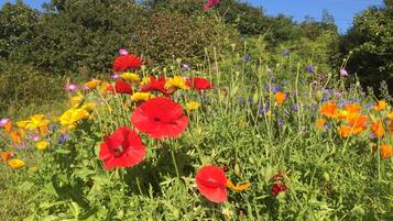 Área da propriedade