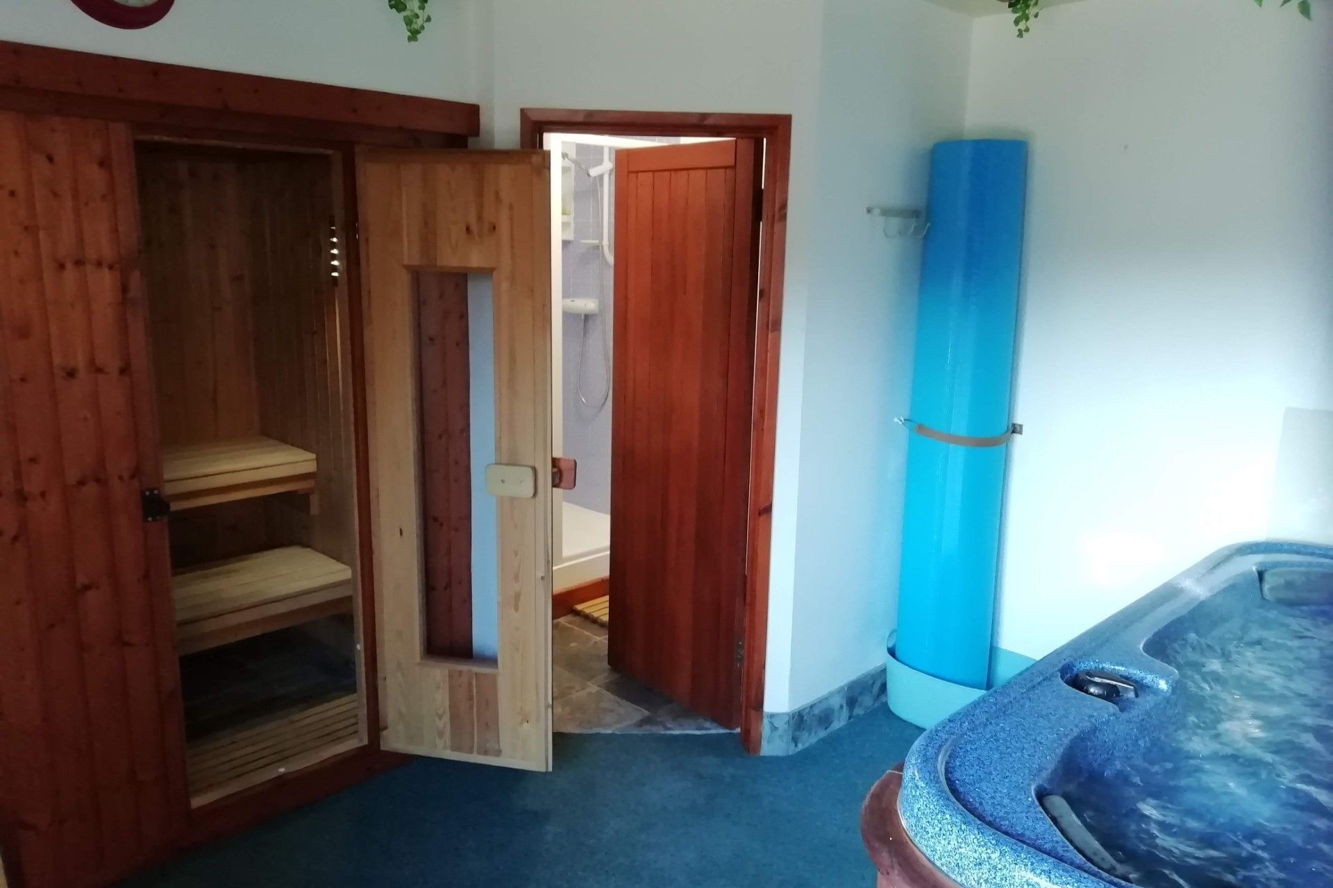 A room with a wooden door, a blue mat, and a hot tub.
