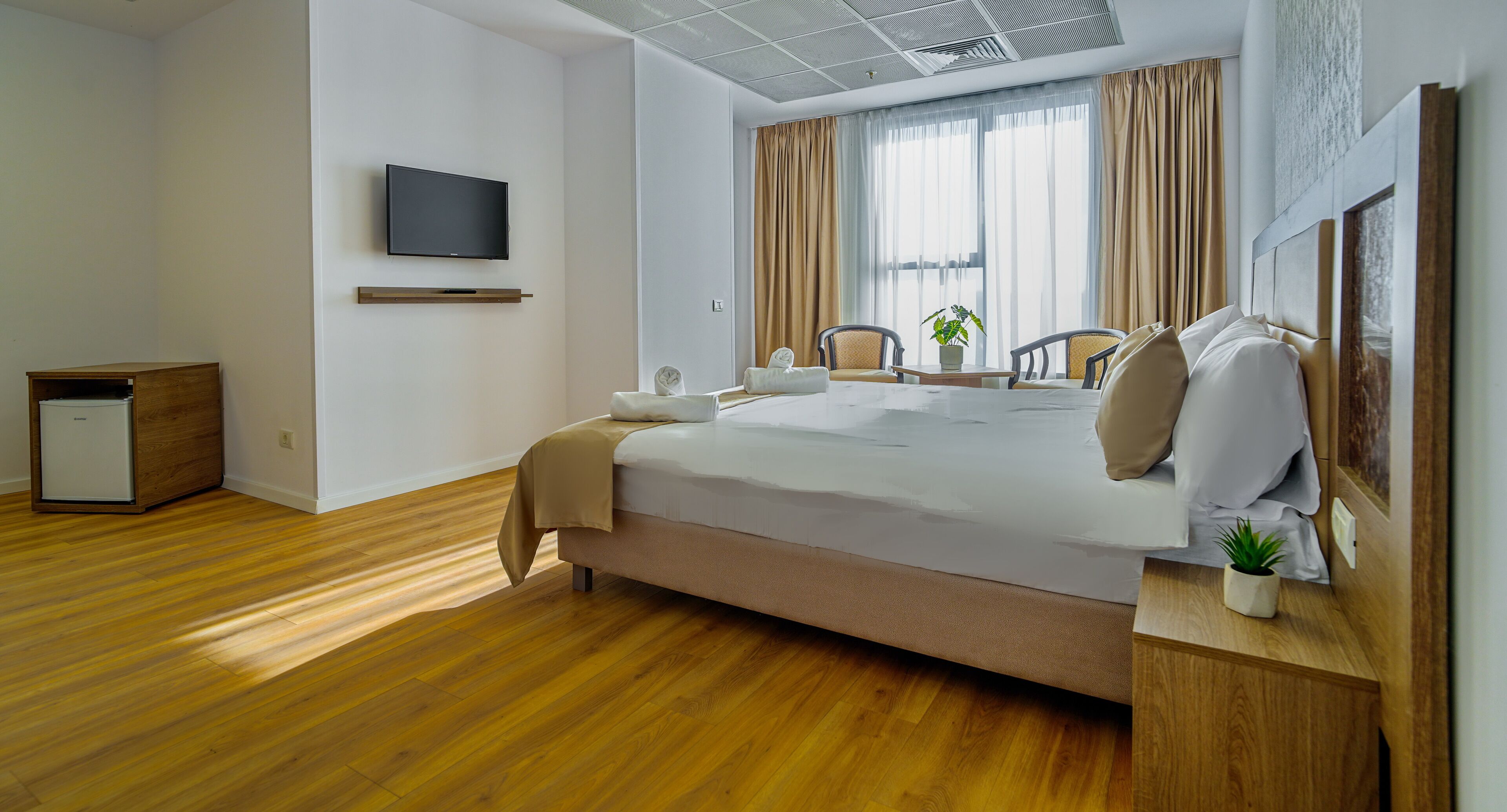 Une chambre d’hôtel moderne avec un grand lit, un téléviseur à écran plat, un petit bureau et une plante en pot.
