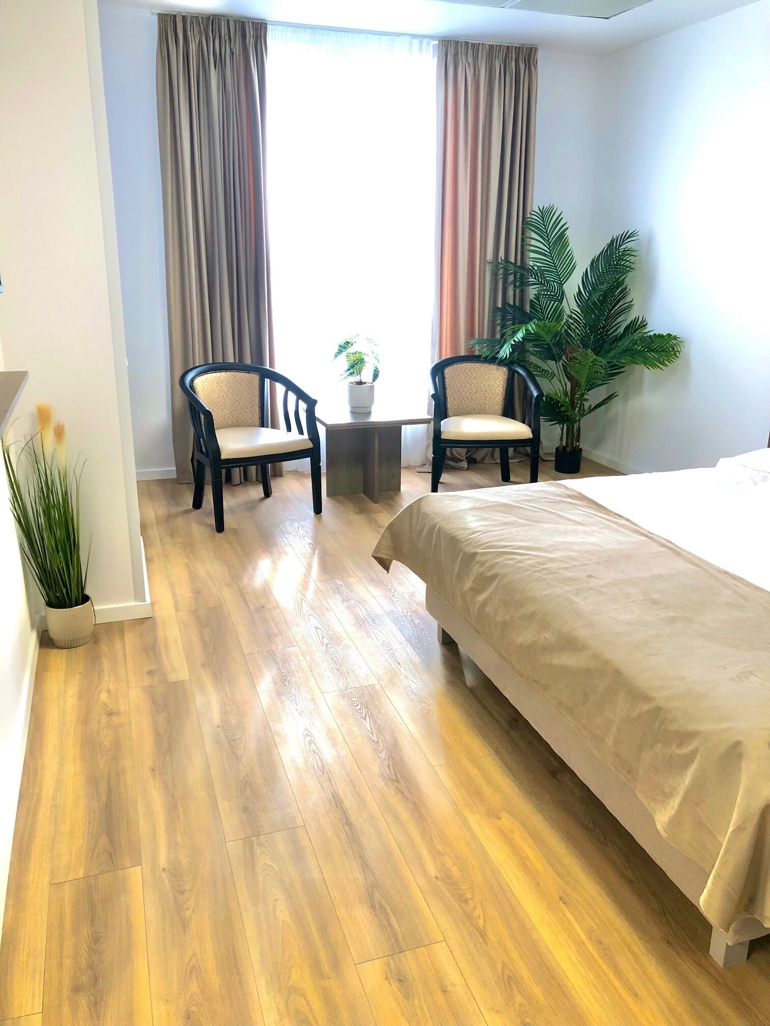 Une chambre d’hôtel avec un plancher en bois, deux chaises, un lit, une petite table avec une plante et une grande fenêtre avec des rideaux.