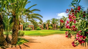 A well-maintained garden with palm trees, a pathway, and a building with a green roof. - Villa Tounsi - Five Bedroom Villa, Sleeps 10 (Douar Tounsi)