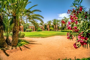 Property grounds - Villa Tounsi - Five Bedroom Villa, Sleeps 10 (Douar Tounsi)