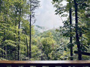 Property grounds - Stunning Mtn View Retreat w/ Kids' Treehouse, Hot Tub, Video Wall & Pool Table. (Sevierville)